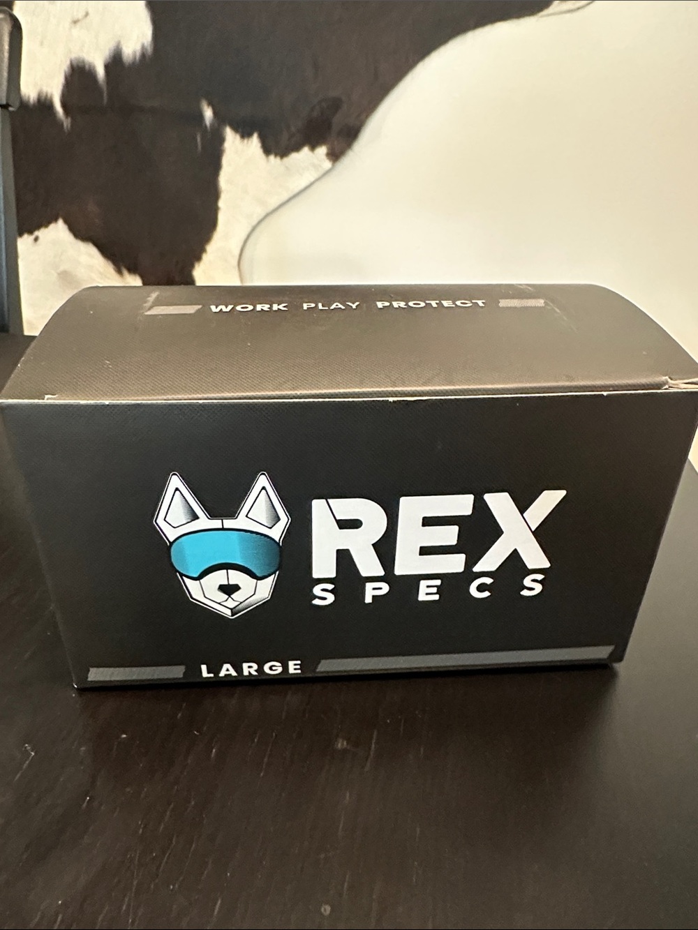 Rex Specs Large Orange Dog Goggles